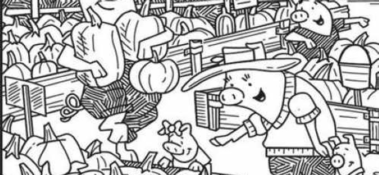 Obrazkowa zagadka na inteligencję. Tylko 2 na 29 osób potrafi rozwiązać tę łamigłówkę