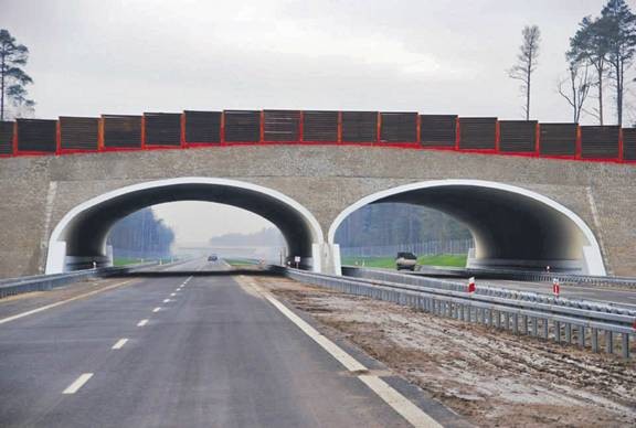 Estetyczne przejście dla zwierząt nad S8 w Wieruszowie Michał Wandrasz/GDDKiA