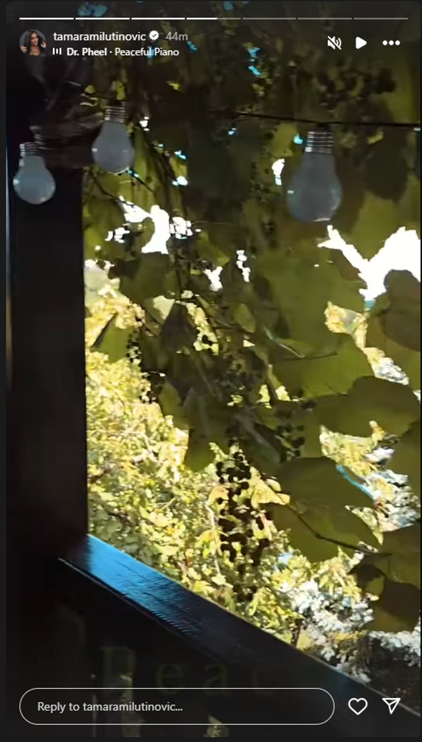 Porodično imanje Tamare Milutinović