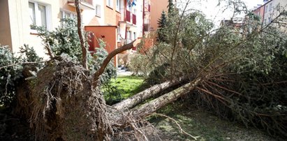 Setki zniszczonych domów i wielu rannych. To efekt wichur