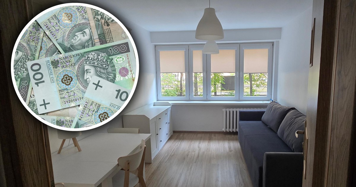 Odpalili konkurs na najem kawalerek. Idą jak woda