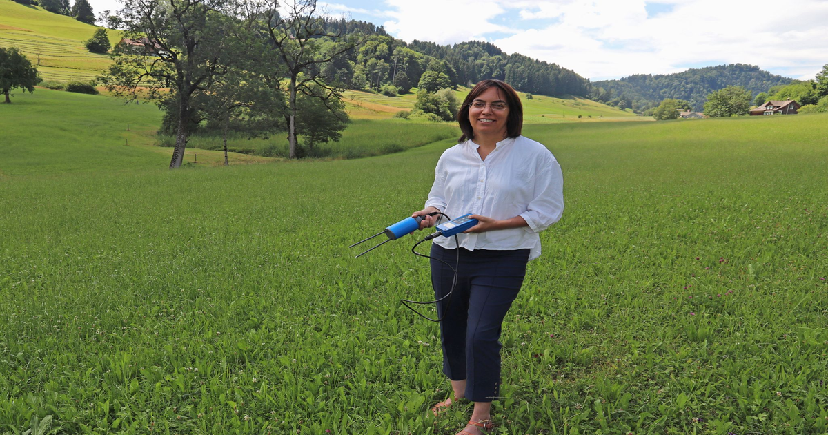 500.000 Euro Umweltpreis für Klimaforschung und Rostschutz