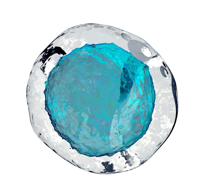 Ćelija ljudskoj jajašceta