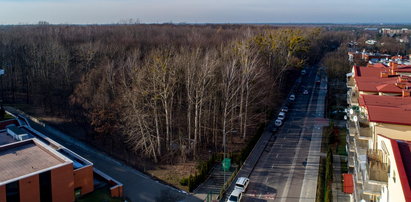 Bielany jeszcze bardziej zielone