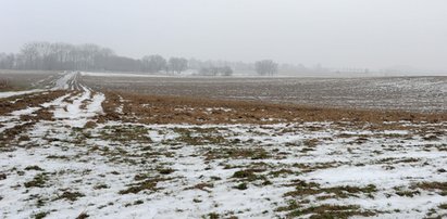 Makabra na polu. Znaleziono półnagie ciało kobiety