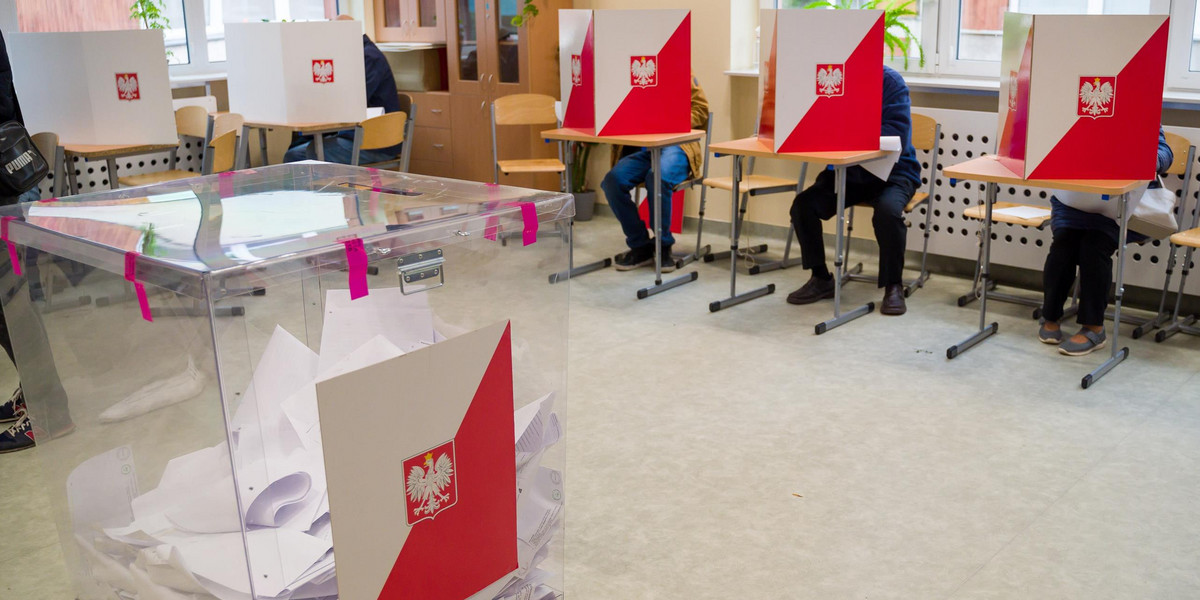Wybory samorządowe 2024. Jak sprawdzić rejestr wyborców?