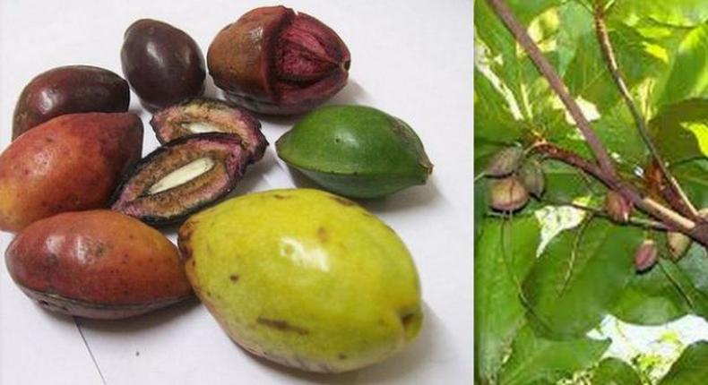 You probably didn't know the names of these popular Nigerian fruits