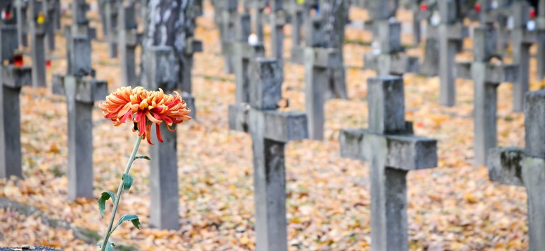 Kombatanci chcą dekomunizacji Alei Zasłużonych na warszawskich Powązkach