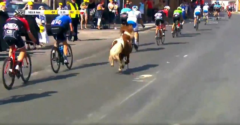 Niespodziewany gość na trasie Tour de Pologne