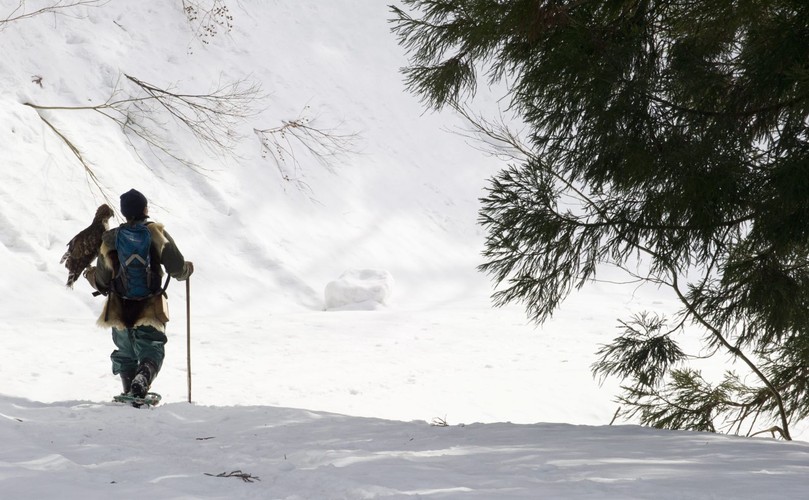 Hidetoshi Matsubara. Ostatni sokolnik w Japonii