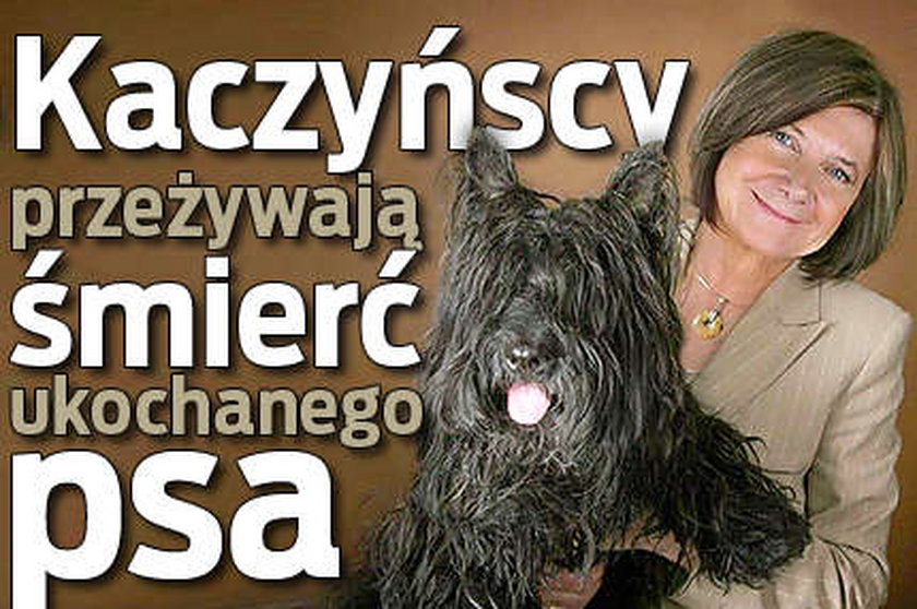 Kaczyńscy przeżywają śmierć ukochanego psa