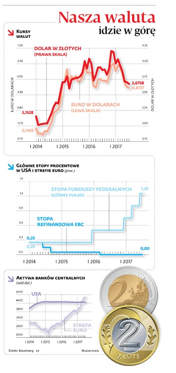 Nasza waluta idzie w górę