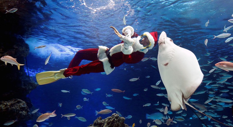 Santa Claus diver