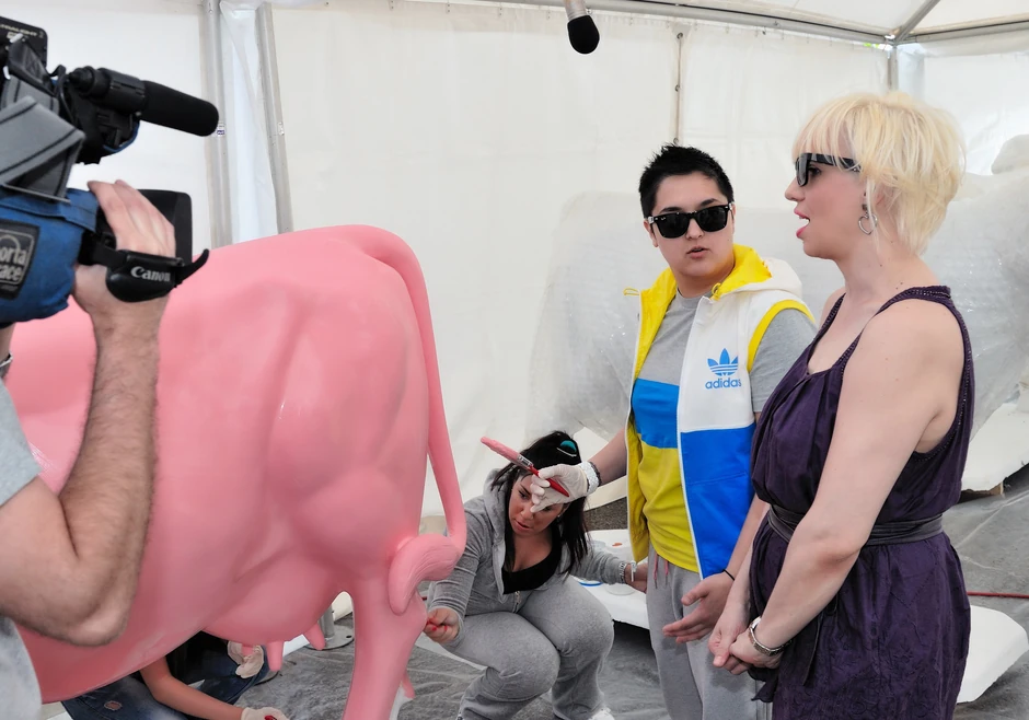 Marija Šerifović i Luna Lu na zadatku sa četkicom Organizator akcije je kompanija “Imlek“, a slični projakti do sada su održali u svetskim metropolama poput Londona, Njujorka, Pariza i Hong Konga više 75 drugih gradova u 30 država na šest kontinenata. - Mislim da je moja krava najoriginalnija i najmaštovitija. Zaposlio sam desetoro dece, uglavnom devojčica jer su one kreativnije, da je ofarbaju. Malo su farbale četkicima, malo rukama i napravile pravo remek delo. Mislim da je najrealnije da ova figura završi u nekoj dečjoj ustanovi - kaže uvek šaljivi Blaža.   Blaža sa mališanima Figure će narednih dana, između ostalih, oslikavati i glumac Branislav Lečić, nekadašnji odbojkaš Vanja Gbrić, pevač Danijel Pavlović, slikarka Biljana Cincarević, dizajner Slavimir Stojanović, deca iz Zvečanske, hor “Čarolija”, ekipa emisije “Top Model”, MTV, a “svoje“ krave već su ofarbače voditeljka Suzana Zlatanović, poznata kao Luna Lu, i pevačica Marija Šerifović.   Laza Ristovski farba svoje delo - Rado sam pristala da učestvujem pošto je ovo humanitarna akcija i bilo je veoma intersantno. Inače nisam baš vešta sa četkicom, ali tu je bilo i nekoliko umetnica koje su mi pomogle pa je bilo lakše - kaže Marija Šerifović, nekadašanja pobednica “Evrovizije“