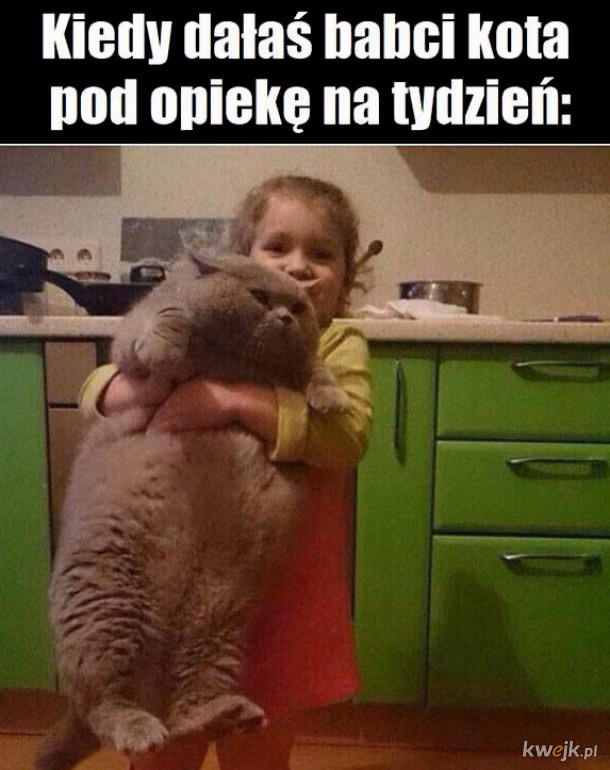https://ocdn.eu/pulscms-transforms/1/kwpk9kpTURBXy82ZTJkZTU0NGQ0YzI0Njk4NWUzZmRjYTViNTM0Y2YzOS5qcGeSlQLNA8AAwsOVAgDNA8DCw94AAaEwBg