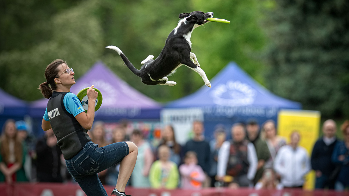 Mistrzostwa świata dogfrisbee. Zawody odbędą się na Cytadeli