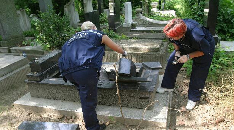 A rendőrök szerint a sírkőlopások helyszíne mindig nyomszegény Fotó: police.hu