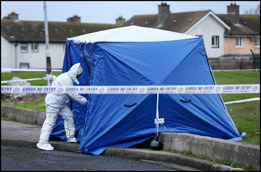 W Dublinie znaleziono głowę, ręce i nogę nastolatka