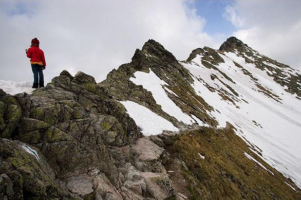 Galeria Polska - Tatry - okolice Doliny Pięciu Stawów, obrazek 23