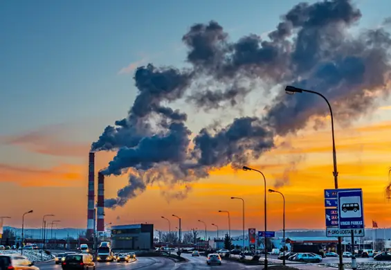 "No i Ch*j". Naukowcy w końcu nazwali polską strategię walki ze zmianami klimatu