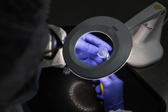 Komisja Zdrowia popiera refundację in vitro