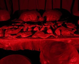 Louise Bourgeois x Jenny Holzer_08-destruction of the father-0019-JKim-23 XLG