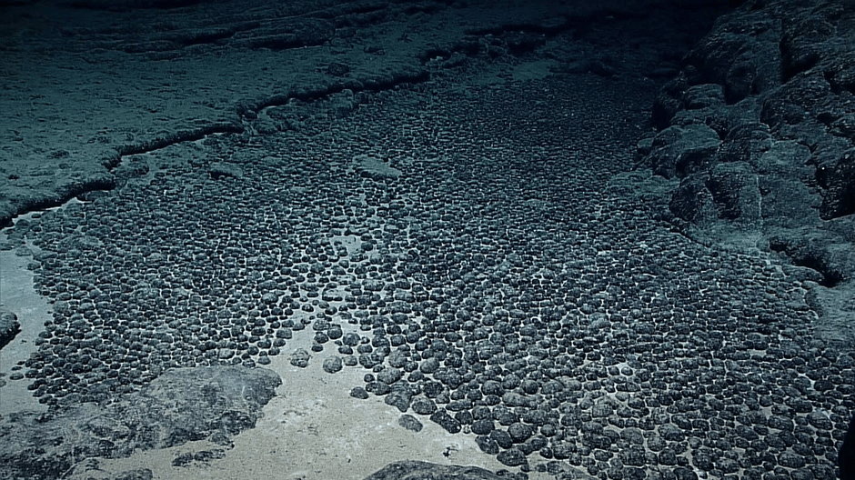 Pole guzków manganowych na dnie wód Oceanu Spokojnego w pobliżu Hawajów w strefie Clarion-Clipperton. NOAA Office of Ocean Exploration and Research