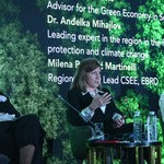 Panel 3: Navigating ESG landscape: Legal frameworks & corporate impact
