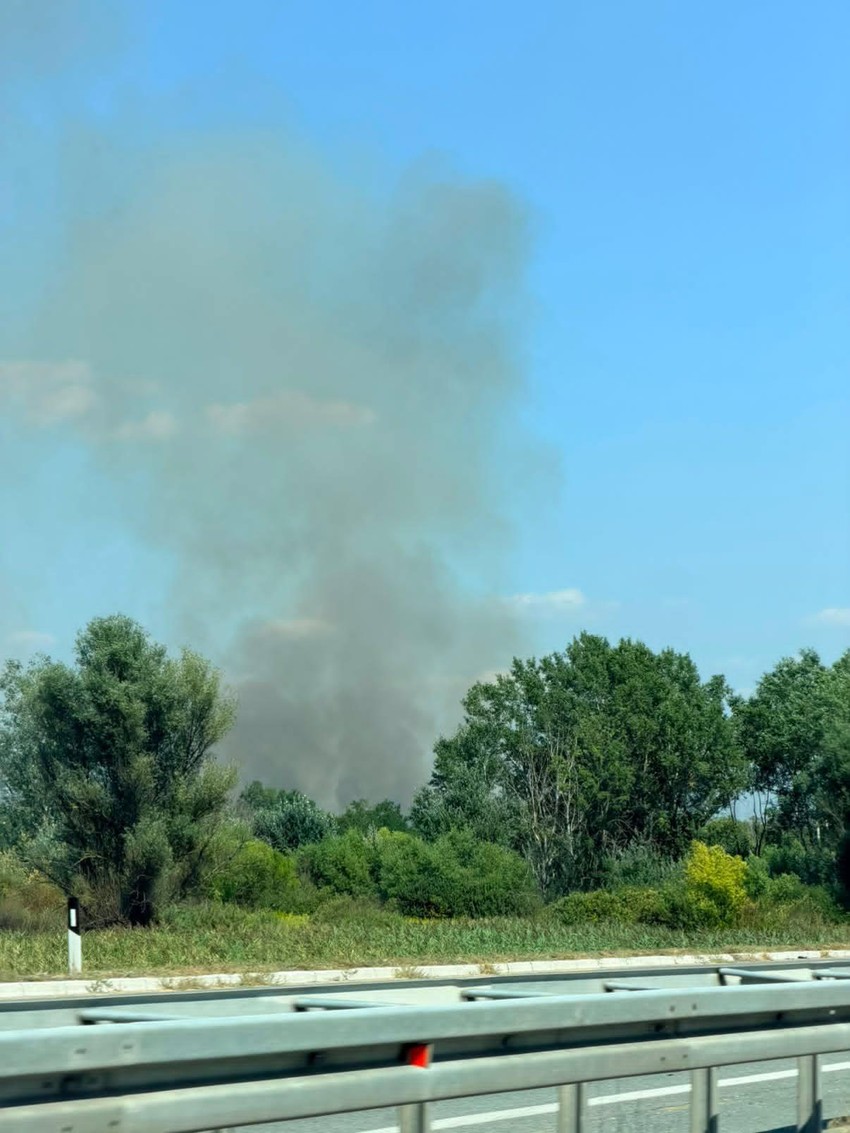 Požar pored auto-puta kod Umčara