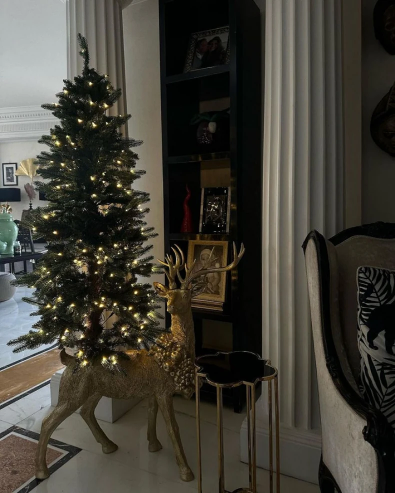 Dom Siniše Mihajlovića