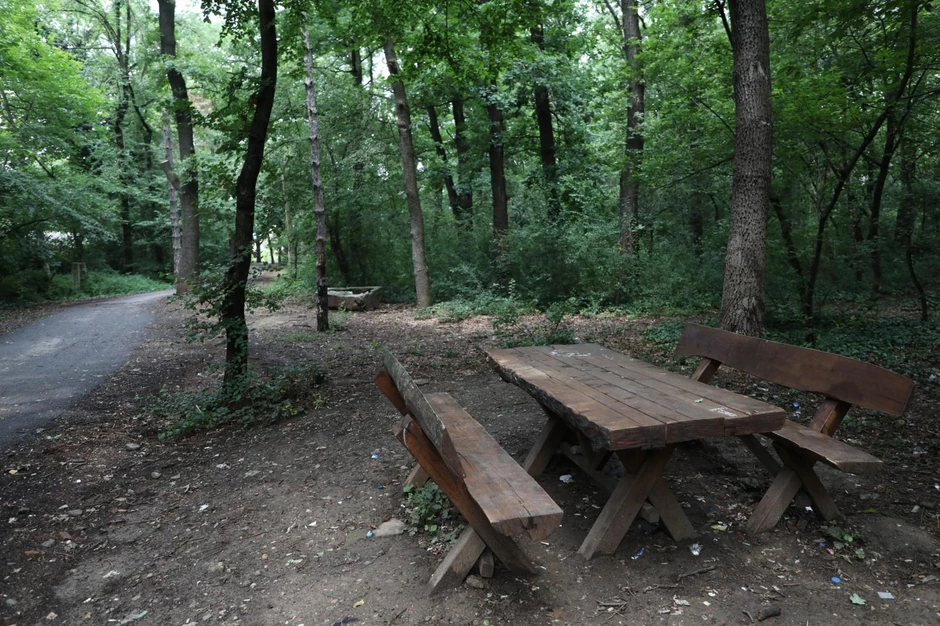 Zvezdarska šuma je jedno od najatraktivnijih izletišta gde se često ne može naći slobodna klupa