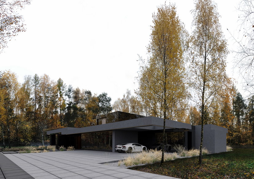 Stark House od Reform architekci