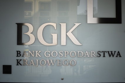 BGK: 16 mld zł kredytów do 2020 roku na finasowanie dużych firm