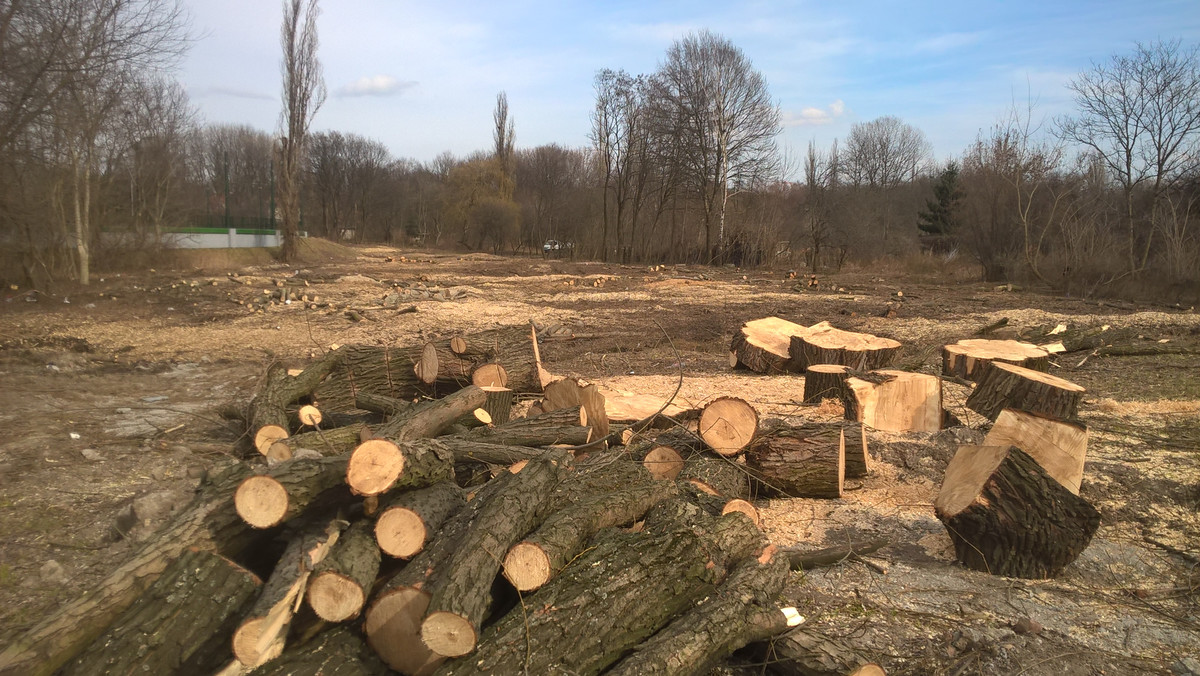 To już pewne. Tuż obok Parku Lotników powstaną bloki mieszkalne. Magistrat wydał właśnie pozwolenie na zabudowę terenów od strony al. Pokoju. To kontrowersyjna decyzja. Plan zagospodarowania, który miał ochronić ten teren przed powstaniem bloków, ma zostać uchwalony w za kilkanaście dni.