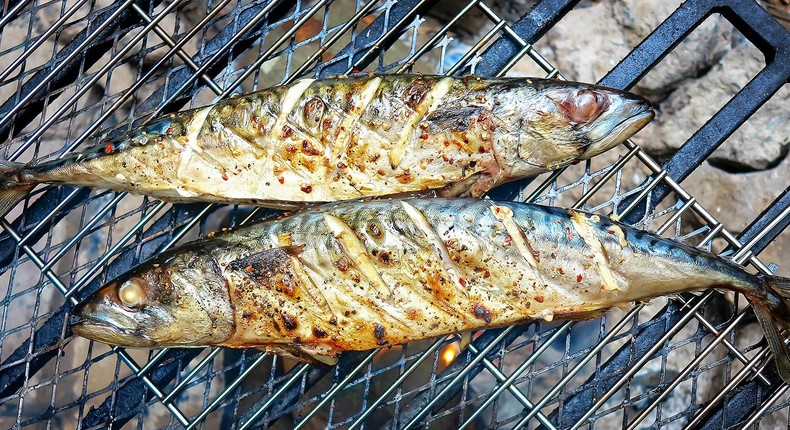 Grilled mackerel