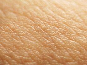 Bőrbetegségek kisszótára (1.) | EgészségKalauz