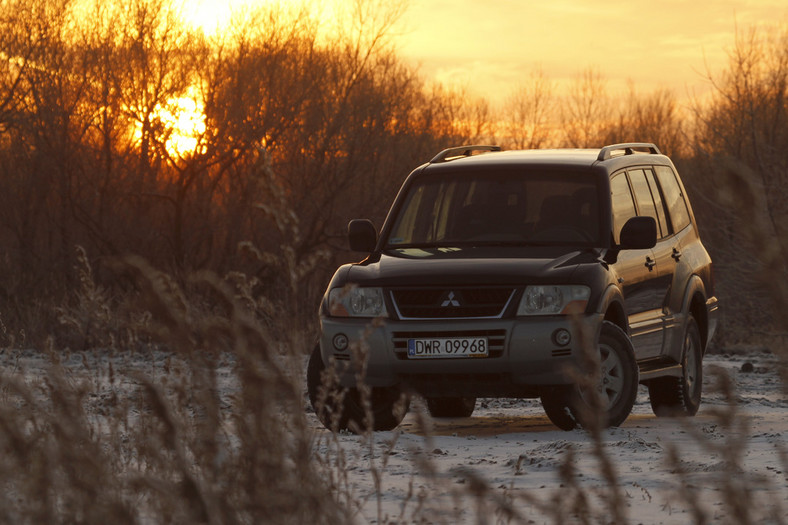 Czy Mitsubishi Pajero Pinin Ma Reduktor