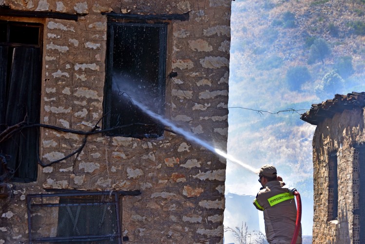 GRECJA. Płoną lasy i przedmieścia. Strażacy i żołnierze walczą z ogniem