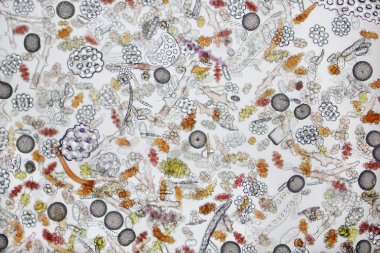 Piaski czasu, fot. David Maitland (Wielka Brytania)