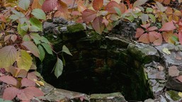 zgłosisz się dobrowolnie? może cię ominąć kara 60 000 zł