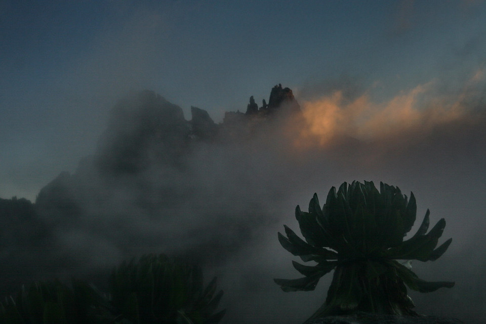 Mount Kenya - wspinaczka na równiku