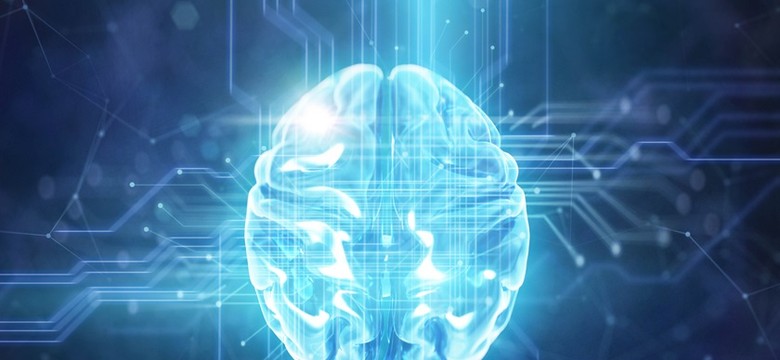 Skok Lewicy na polskie AI. Oburzeni naukowcy napisali list do Tuska