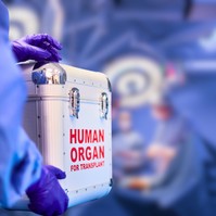 Valóban megkaphatjuk szervátültetés esetén a donor emlékeit? Meglepheti a válasz!