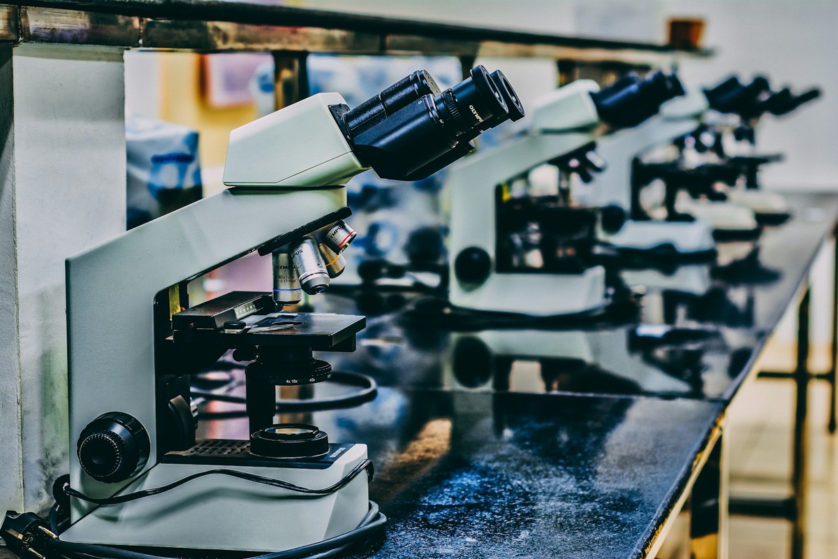 SS-31 Peptide: A Novel Approach to Mitochondrial and Cellular Research