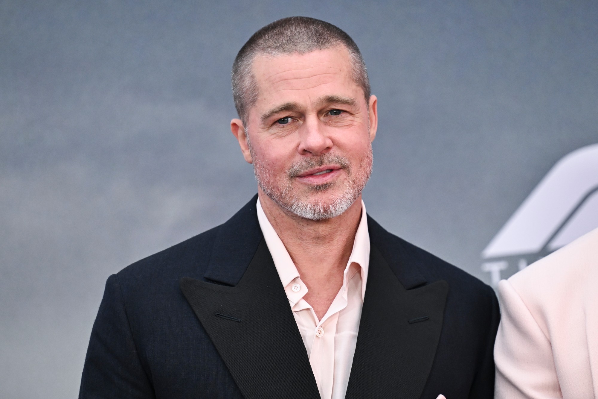 Americký herec Brad Pitt.