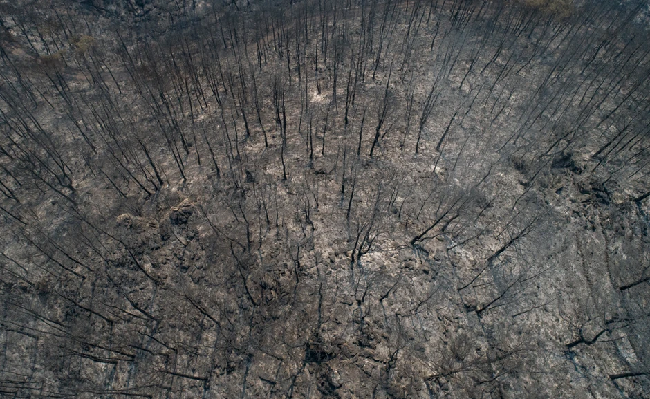 Požari u Turskoj - Mugla