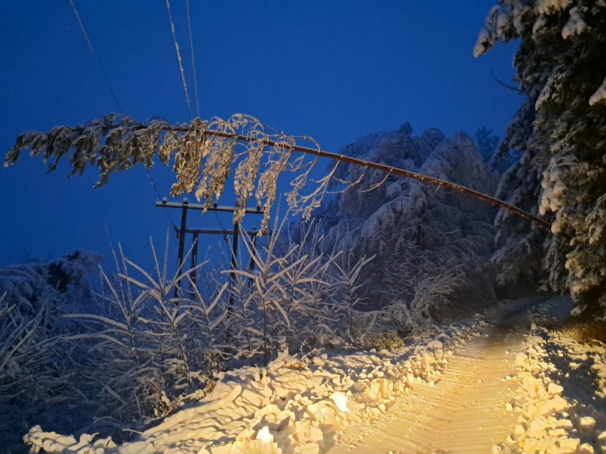 Na radnom mestu i pre zore