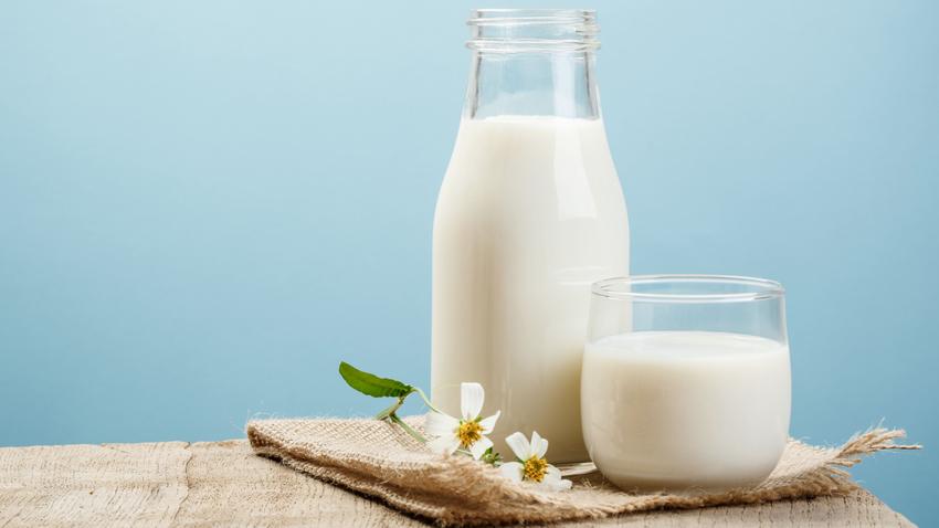 tej tejtermék allergia laktóz tejcukor