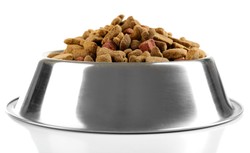 Rewolucja w żywieniu zwierząt domowych. "Pierwsza taka karma na świecie"