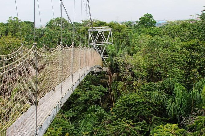Lekki Conservation Centre {viator}
